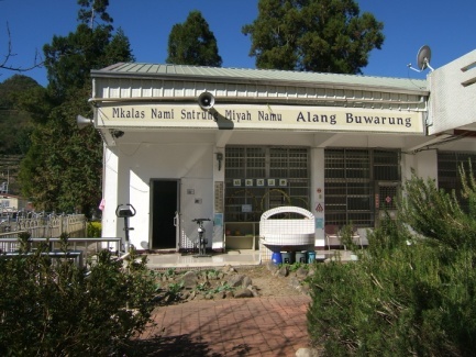 135827570.jpg (433×325)